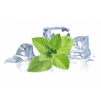 100 ml Aroma Arktik-Eis  ***GROSSPACKUNG***