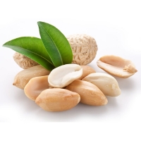 Aroma Erdnuss 30+50+100 ml  - Made in Germany!