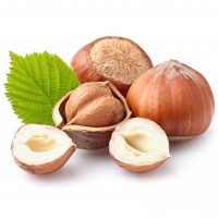 100 ml Aroma Haselnuss  ***GROSSPACKUNG***