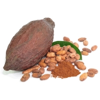 Aroma Kakao 30 / 50 / 100 ml  - Made in Germany!