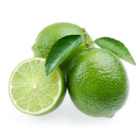 100 ml Aroma Limette  ***GROSSPACKUNG***