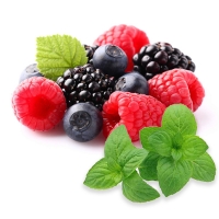 Aroma Minze-Waldfrucht 30 / 50 / 100 ml  - Made in Germany!