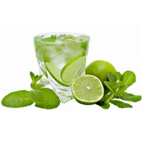 100 ml Aroma Mojito  ***GROSSPACKUNG***
