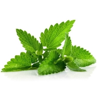 Aroma Menthol 30+50+100 ml  - Made in Germany!