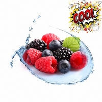 100 ml Aroma Waldfrucht Cool  ***GROSSPACKUNG***