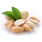 100 ml Aroma Erdnuss  ***GROSSPACKUNG***