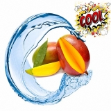 100 ml Aroma Mango Cool  ***GROSSPACKUNG***