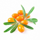 Aroma Sanddorn 30 / 50 / 100 ml  - Made in Germany!