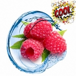 100 ml Aroma Himbeere Cool  ***GROSSPACKUNG***