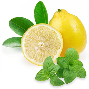 Bestes Aroma Minze - Zitronen